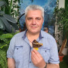 Сергей, Москва, м. Юго-Западная, 58 лет. Люблю гулять в парке или в лесу, собирать грибы