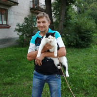 Вткор, Россия, Санкт-Петербург, 62 года