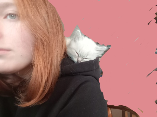 Виктория, Россия, Воронеж, 45 лет, 3 ребенка. Ищу: Мужчина для постоянных отношений с работой, машиной и жильем. 
Дети не помеха ). Стройный (+-)я просто...  Анкета 457917. 