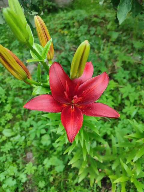 Вадим, Москва, м. Юго-Восточная. Фото на сайте ГдеПапа.Ру