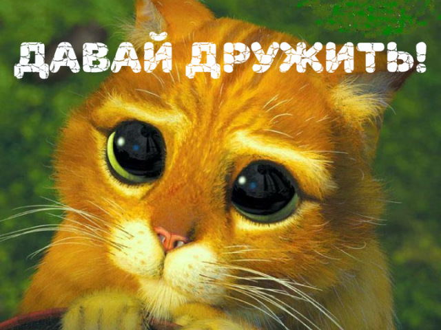 Дмитрий Иванов, Астрахань, 42 года, 10 фото. Ищу: Честную. Верную.  Анкета 458421. 