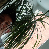 Денис, Санкт-Петербург, м. Пионерская, 44 года