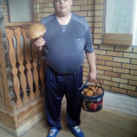 Дмитрий, Россия, Богданович, 49 лет
