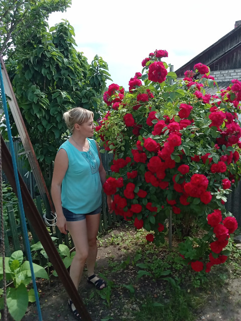 Олька, Россия, Смоленск. Фото на сайте ГдеПапа.Ру