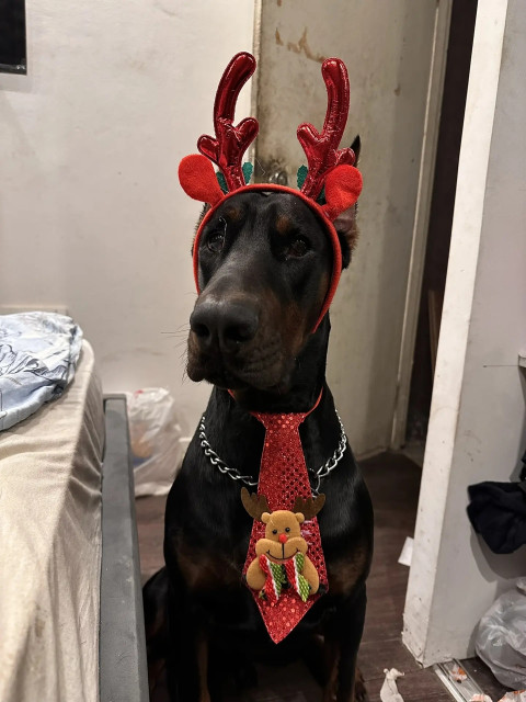 евгений, Россия, Ростов-на-Дону. Фото на сайте ГдеПапа.Ру