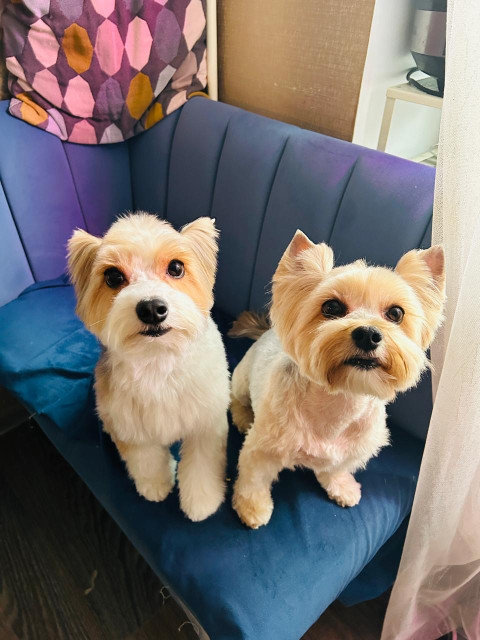 Надюшка, Россия, Санкт-Петербург. Фото на сайте ГдеПапа.Ру