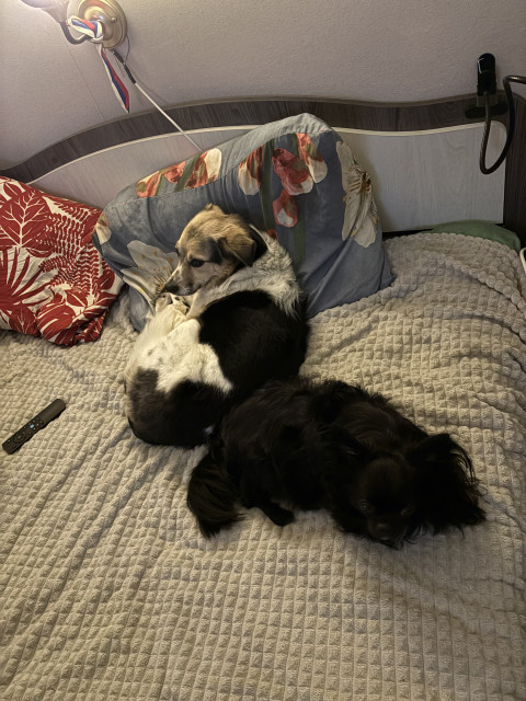 Надюшка, Россия, Санкт-Петербург. Фото на сайте ГдеПапа.Ру