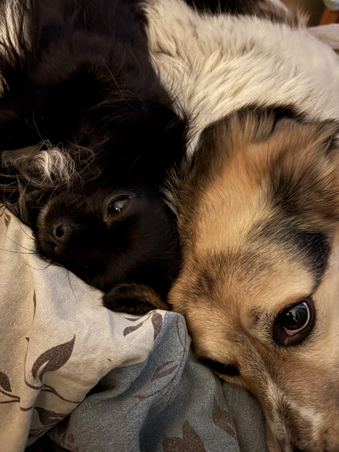 Надюшка, Россия, Санкт-Петербург. Фото на сайте ГдеПапа.Ру