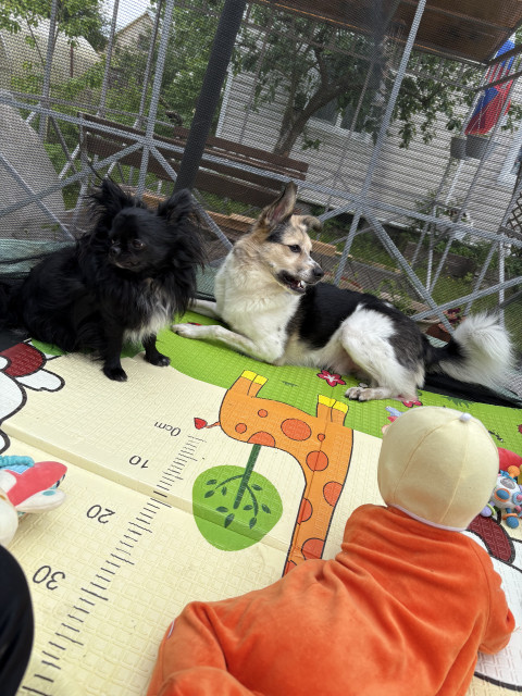 Надюшка, Россия, Санкт-Петербург. Фото на сайте ГдеПапа.Ру