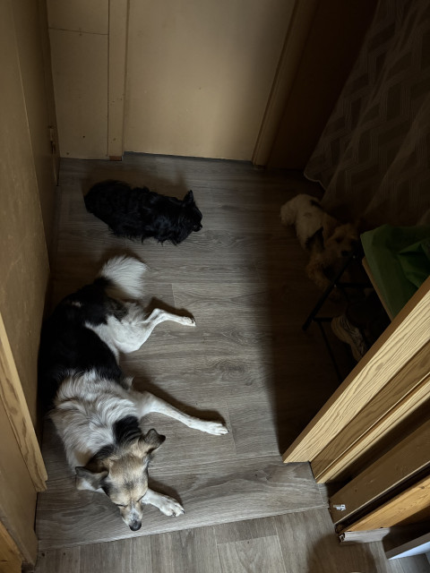 Надюшка, Россия, Санкт-Петербург. Фото на сайте ГдеПапа.Ру