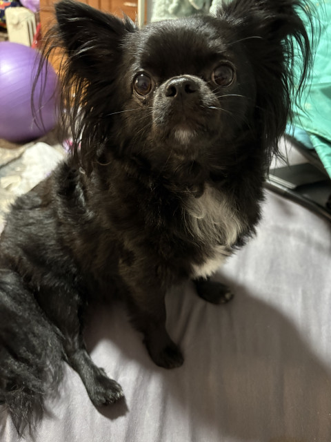 Надюшка, Россия, Санкт-Петербург. Фото на сайте ГдеПапа.Ру