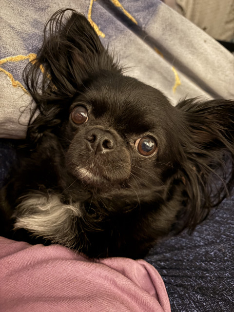 Надюшка, Россия, Санкт-Петербург. Фото на сайте ГдеПапа.Ру