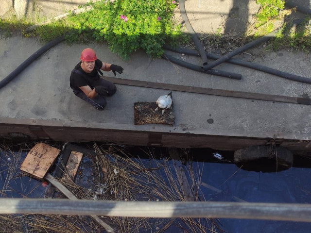 Артём, Россия, Санкт-Петербург. Фото на сайте ГдеПапа.Ру