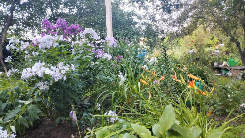 Как проходят выходные?