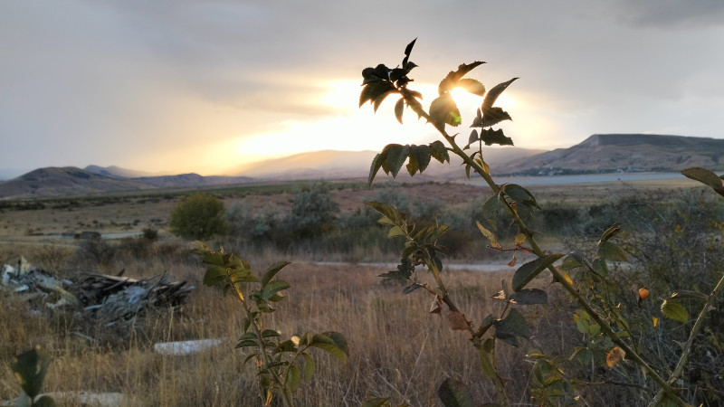Закат сегодня