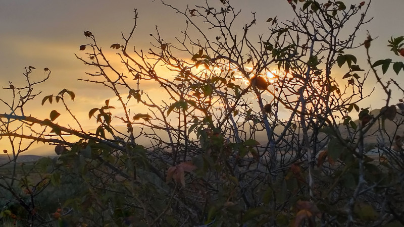Закат сегодня