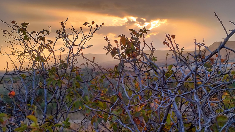 Закат сегодня