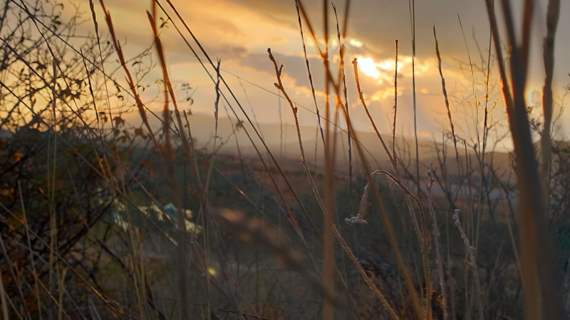 Закат сегодня