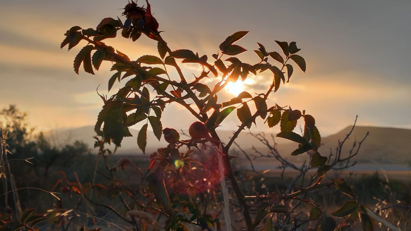 Закат сегодня