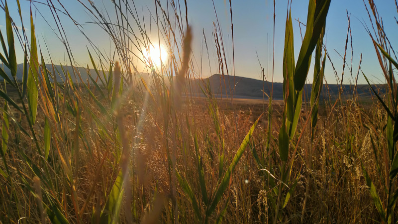 Рассекаем солнце