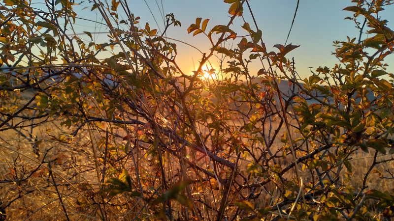 Рассекаем солнце