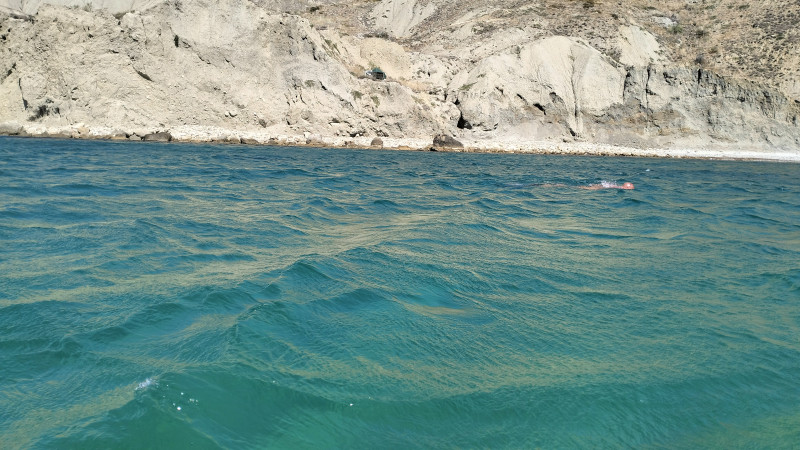 Оттенки бирюзового