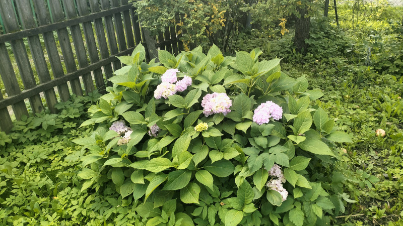 Повод вернуться