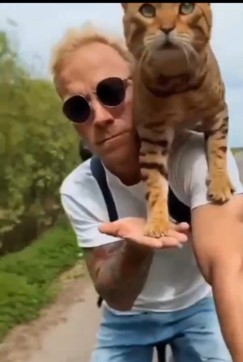 Любовь к животным