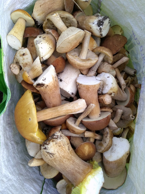 Александр, Россия, Екатеринбург. Фото на сайте ГдеПапа.Ру