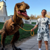 АН ДРЕЙ, Россия, Братск, 51