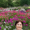 Галина, 62, Россия, Владивосток