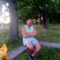 Виктор, Россия, Барыш, 45 лет
