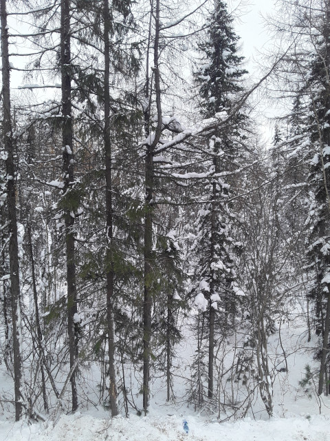 Валерий, Россия, Москва. Фото на сайте ГдеПапа.Ру