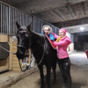 Анастасия, Россия, Москва, 29 лет, 1 ребенок. Познакомлюсь с мужчиной для любви и серьезных отношений, брака и создания семьи, воспитания детей, рЛюблю лошадей, увлекаюсь конным спортом специализации пробеги, есть собственная лошадь, которая соде