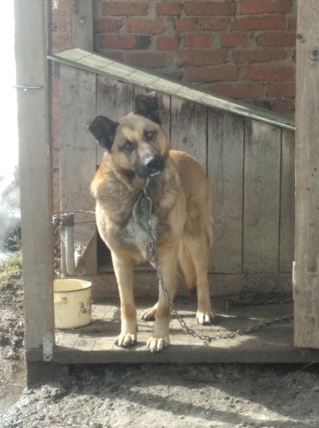 Олег, Россия, Дмитров. Фото на сайте ГдеПапа.Ру