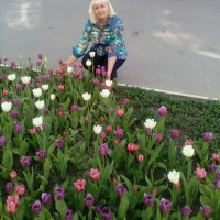 Лариса, Россия, Сочи, 52 года