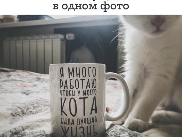 Елена, Россия, Донецк. Фото на сайте ГдеПапа.Ру