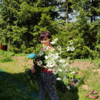 Ангелина, Россия, Подольск, 54 года