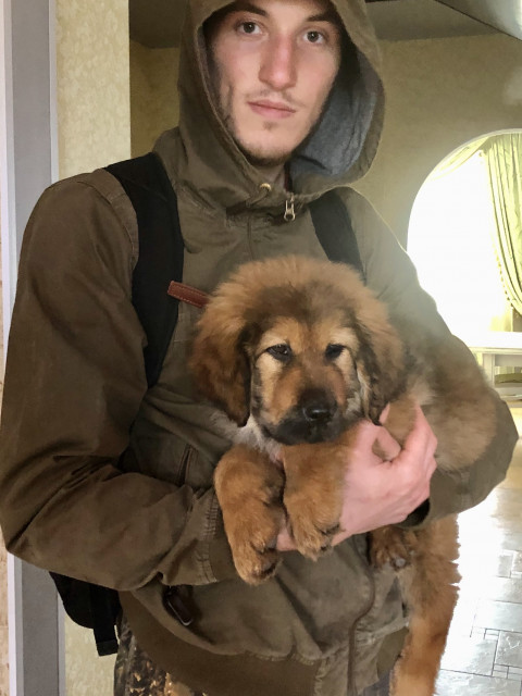 Я и любимая…собака