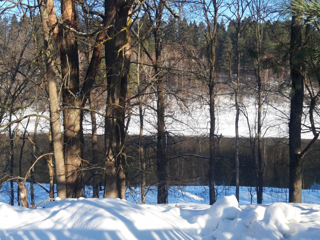 Константин, Россия, Одинцовский район. Фото на сайте ГдеПапа.Ру