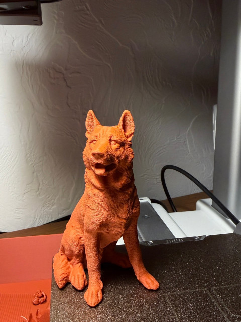 Алексей, Россия, Рязань. Фото на сайте ГдеПапа.Ру