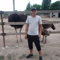 Антон, Узбекистан, Ташкент, 37 лет