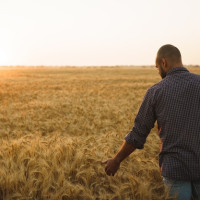 Николай, Россия, Уфа, 53 года