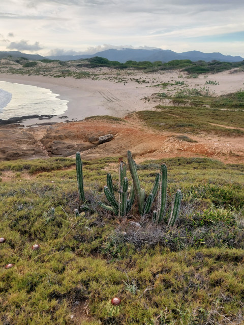 Сергей, Россия, Москва. Фото на сайте ГдеПапа.Ру