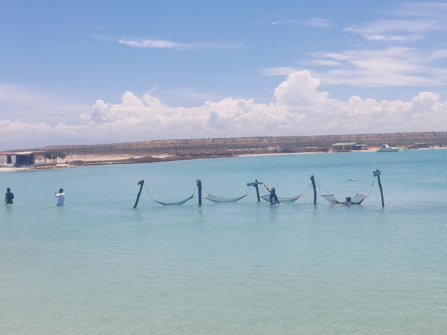 Сергей, Россия, Москва. Фото на сайте ГдеПапа.Ру