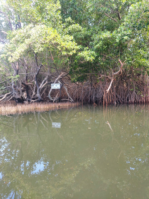 Сергей, Россия, Москва. Фото на сайте ГдеПапа.Ру