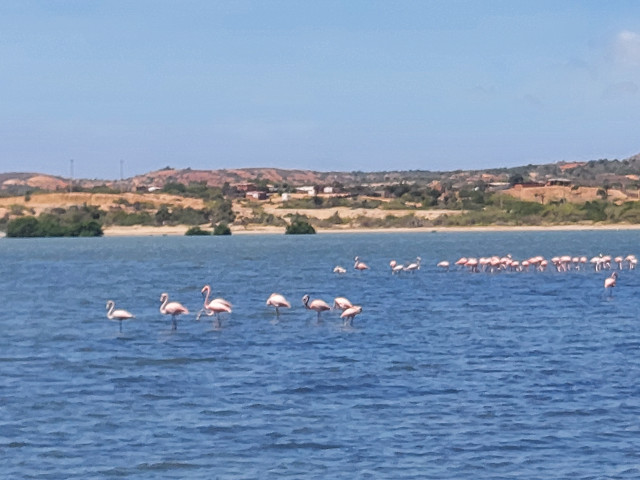 Сергей, Россия, Москва. Фото на сайте ГдеПапа.Ру