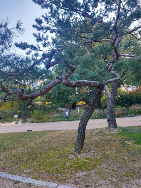 Сергей, Россия, Москва. Фото на сайте ГдеПапа.Ру