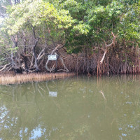 Сергей, Россия, Москва, 50 лет