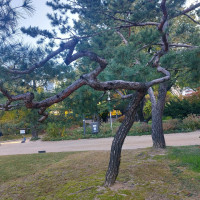 Сергей, Россия, Москва, 50 лет